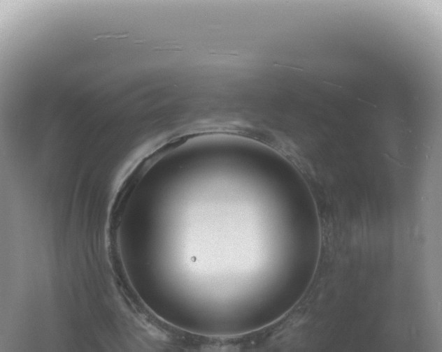 X0000061720340200512092006