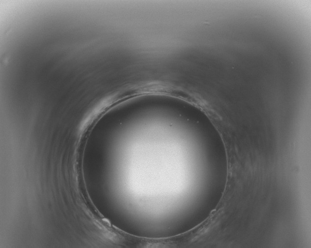 X0000061720341200512092006