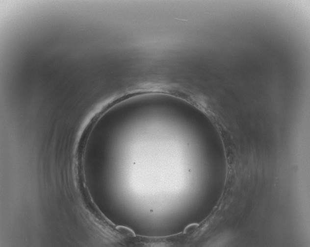 X0000061720342200512092006