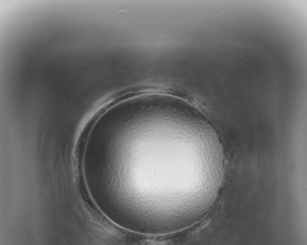 X0000061720343200512092006