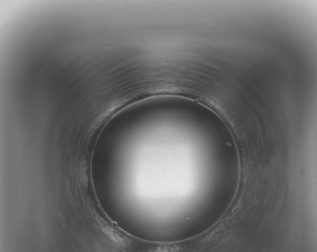 X0000061720345200512092006