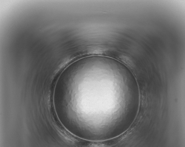 X0000061720346200512092006