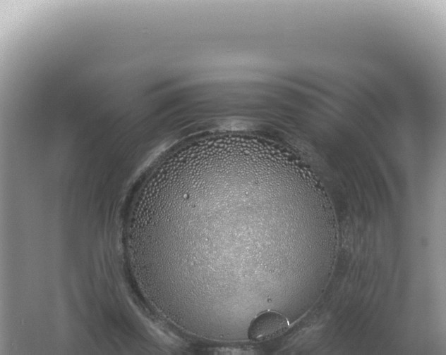 X0000061720347200512092006