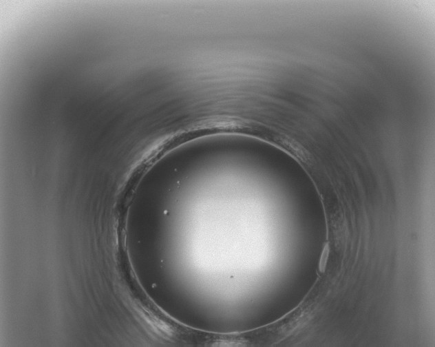 X0000061720350200512092006