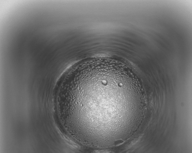 X0000061720351200512092006