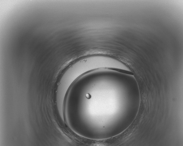 X0000061720352200512092006