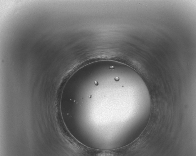 X0000061720354200512092006