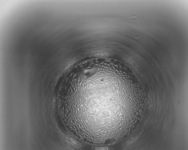 X0000061720355200512092006