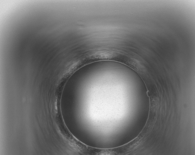 X0000061720358200512092006