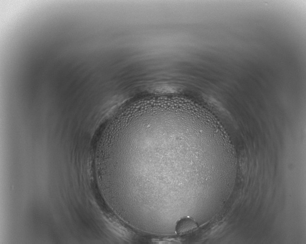 X0000061720359200512092006