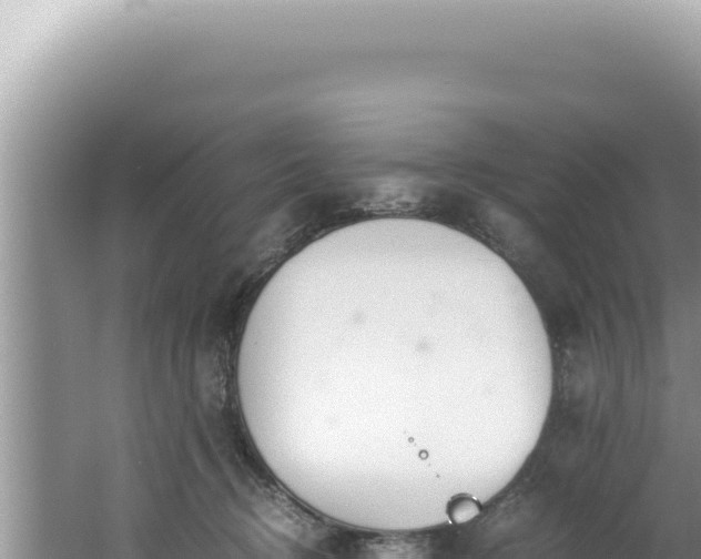 X0000061720370200512092006