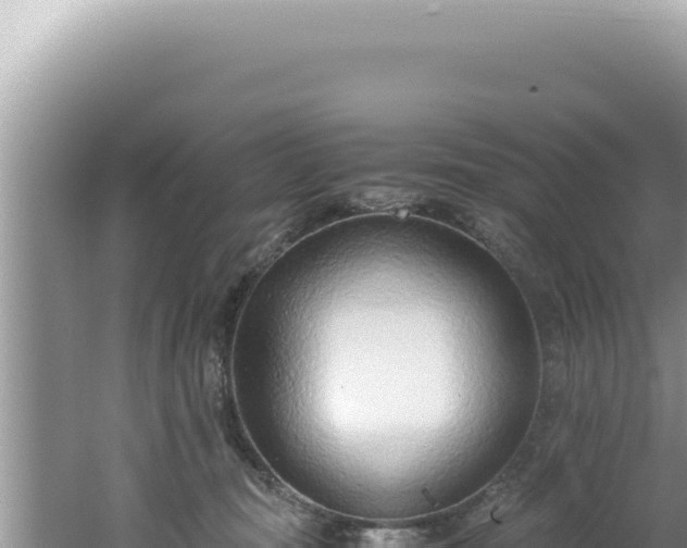 X0000061720371200512092006