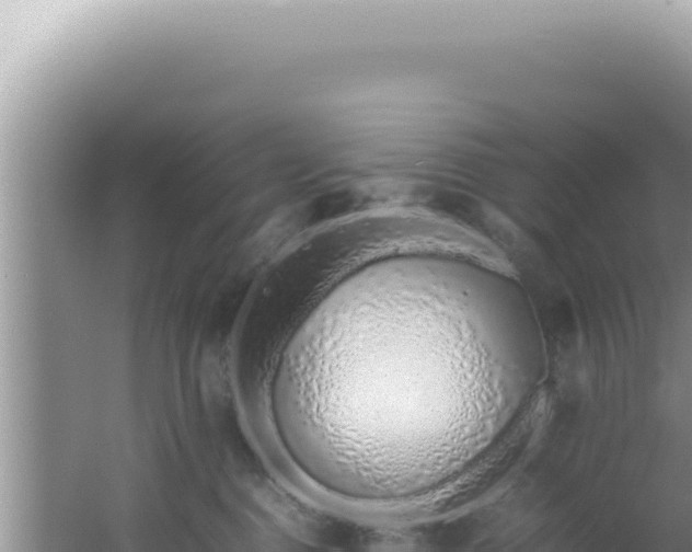 X0000061720376200512092007