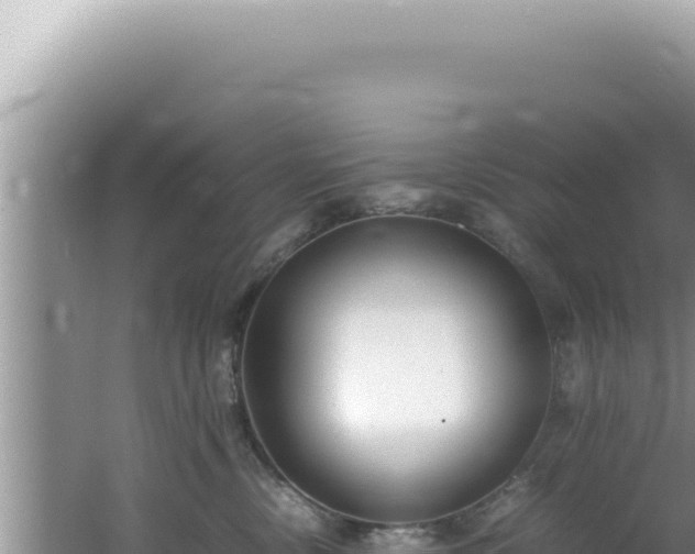 X0000061720378200512092007