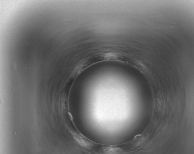 X0000061720379200512092007