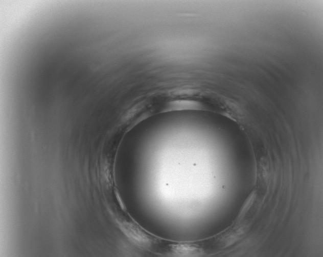 X0000061720380200512092007