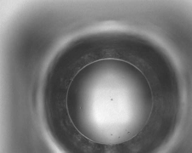 X0000061720382200512092007