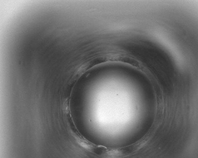 X0000061720383200512092007