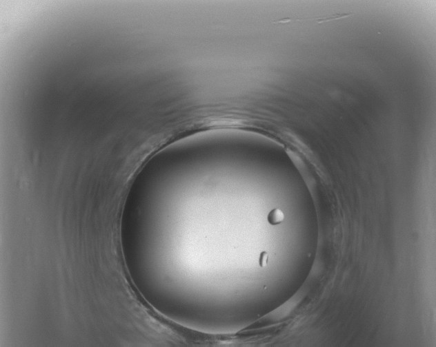 X0000061720385200512092006