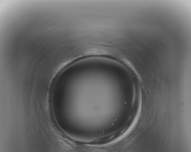 X0000061720387200512092006