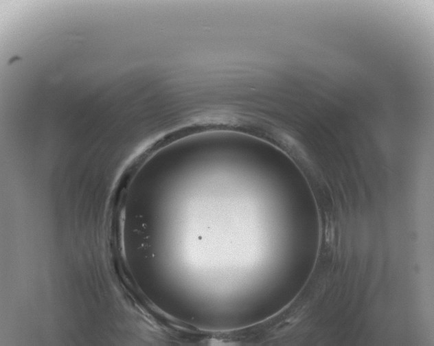 X0000061720388200512092006