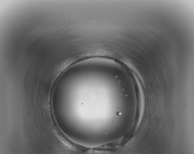 X0000061720389200512092006