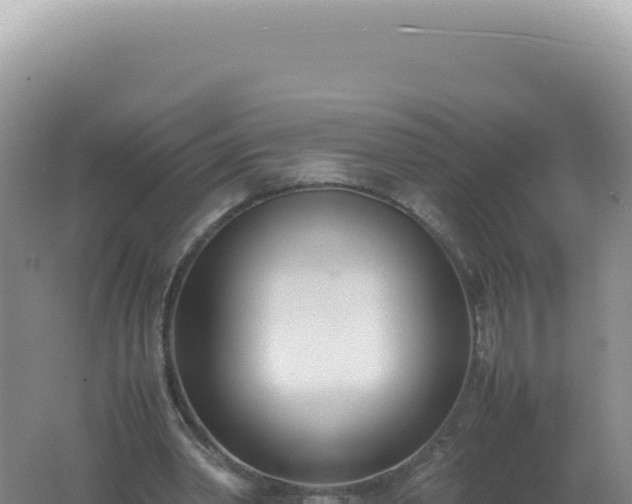 X0000061720390200512092006