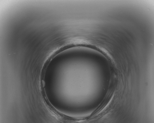 X0000061720391200512092006