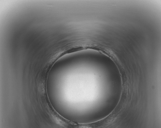 X0000061720393200512092006