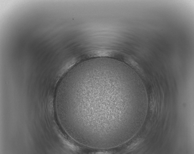 X0000061720394200512092006