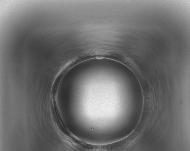 X0000061720395200512092006