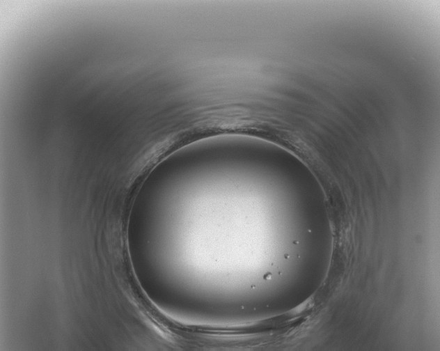 X0000061720397200512092006