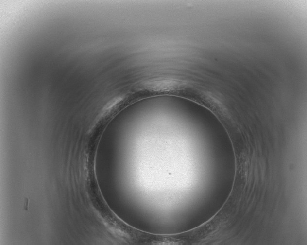 X0000061720400200512092006