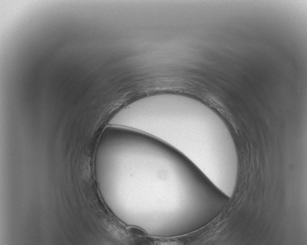 X0000061720401200512092006