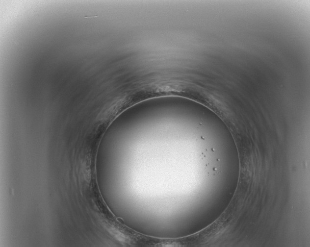 X0000061720402200512092006