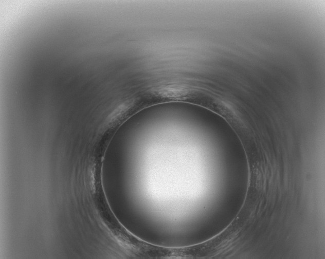 X0000061720404200512092006