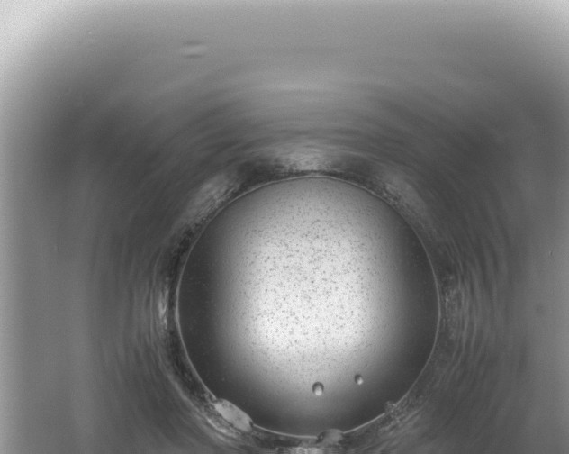 X0000061720406200512092005