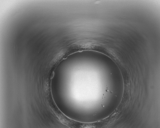 X0000061720407200512092005