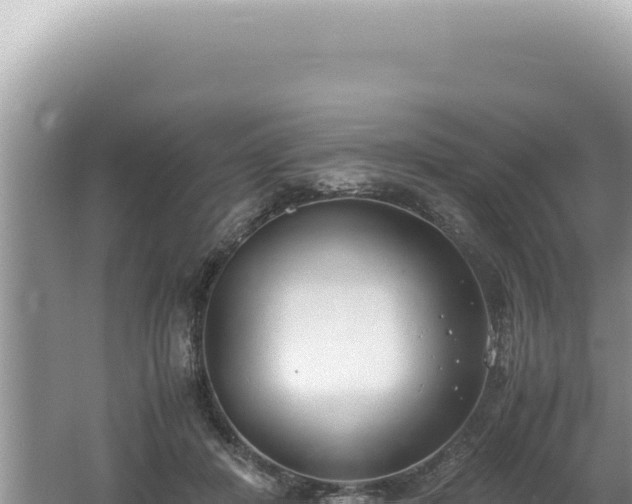 X0000061720408200512092005