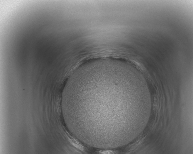 X0000061720409200512092005