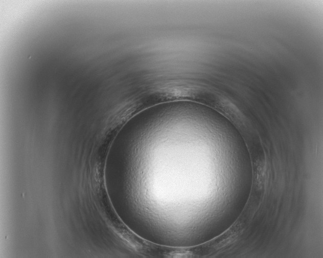 X0000061720410200512092005