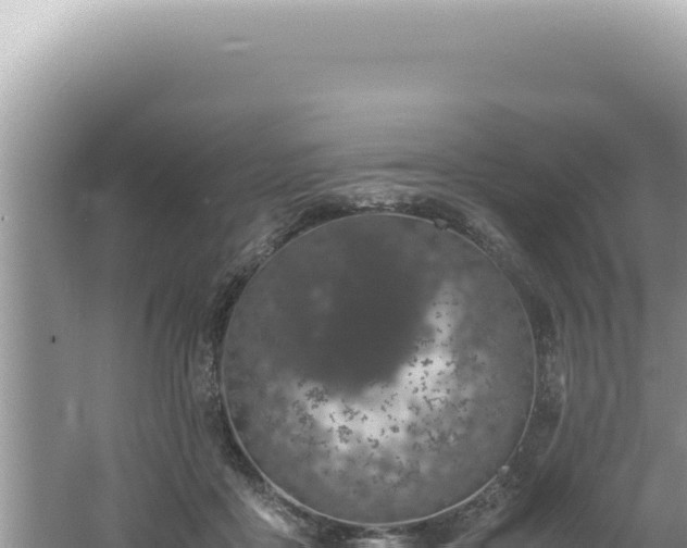 X0000061720411200512092005