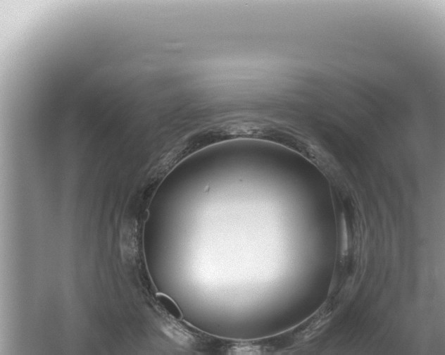 X0000061720413200512092005