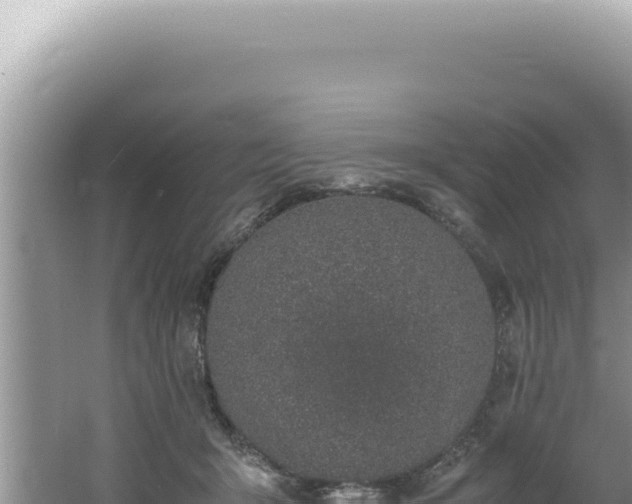 X0000061720415200512092005