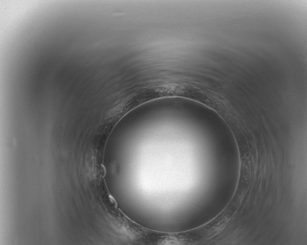 X0000061720416200512092005