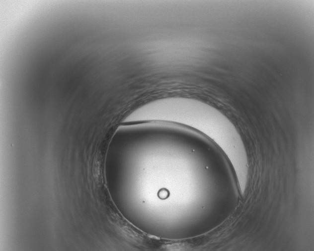 X0000061720417200512092005