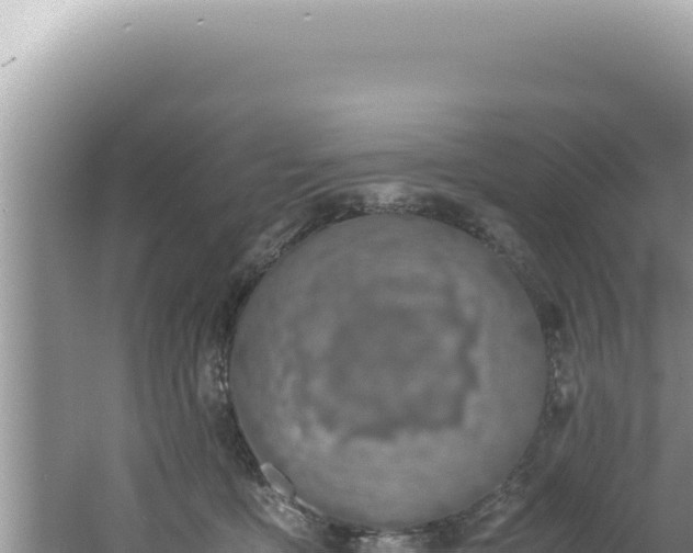 X0000061720419200512092005