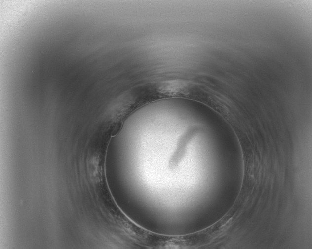 X0000061720420200512092005