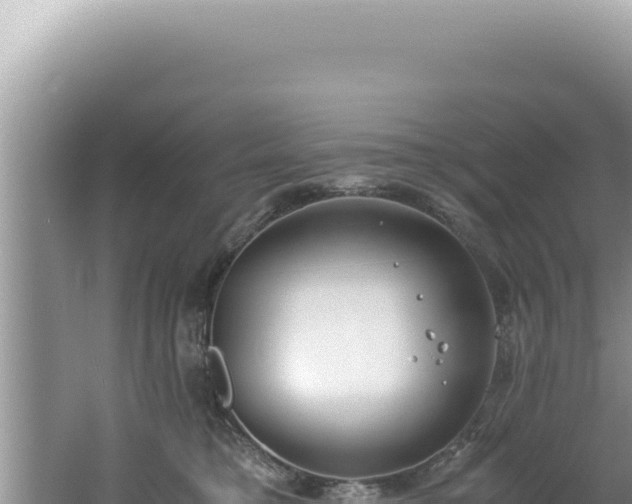 X0000061720421200512092005