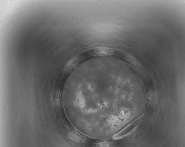 X0000061720423200512092005